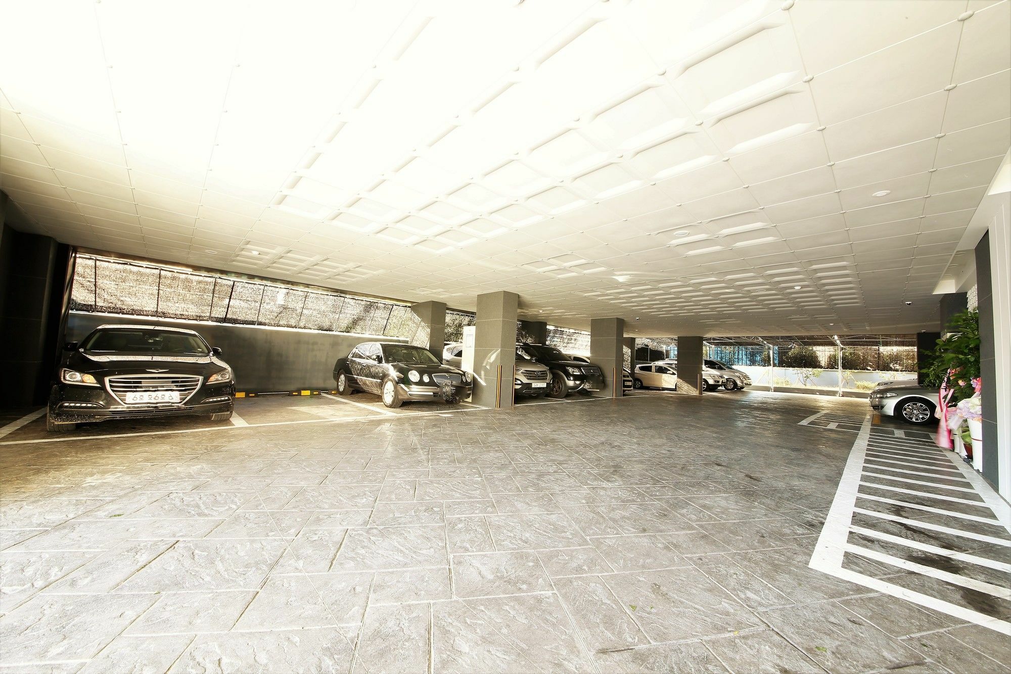 Premium Ava Hotel Pusan Exteriér fotografie